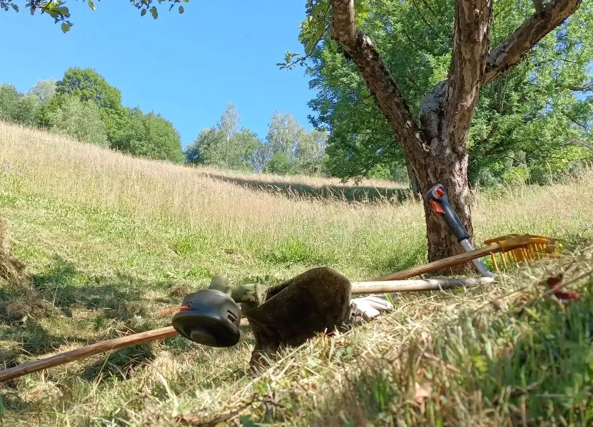Naslijeđe u travi Priča o Mrzloj Vodici