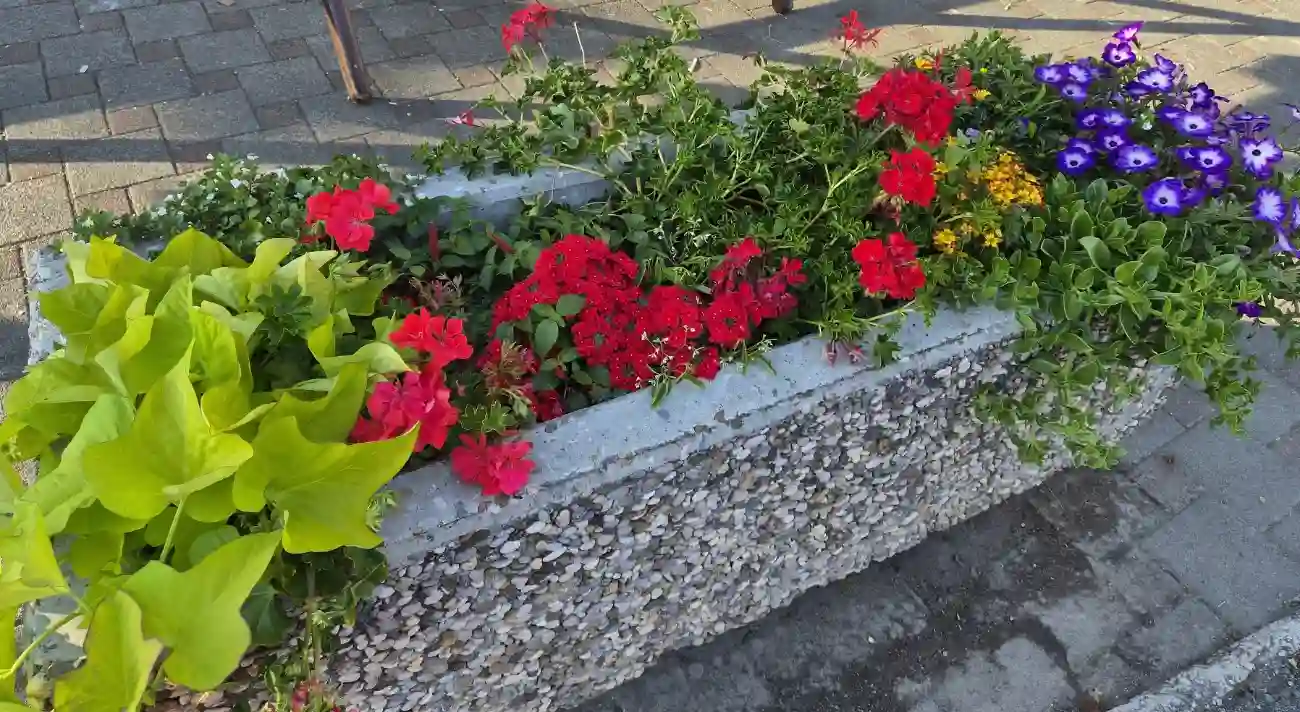 Javni poziv najljepše okućnice
