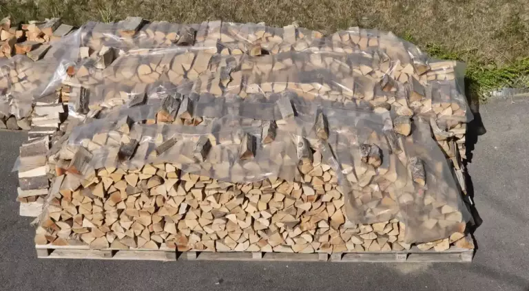 Drva za grijanje u Gorskom kotaru sušena na suncu u dvorištu.