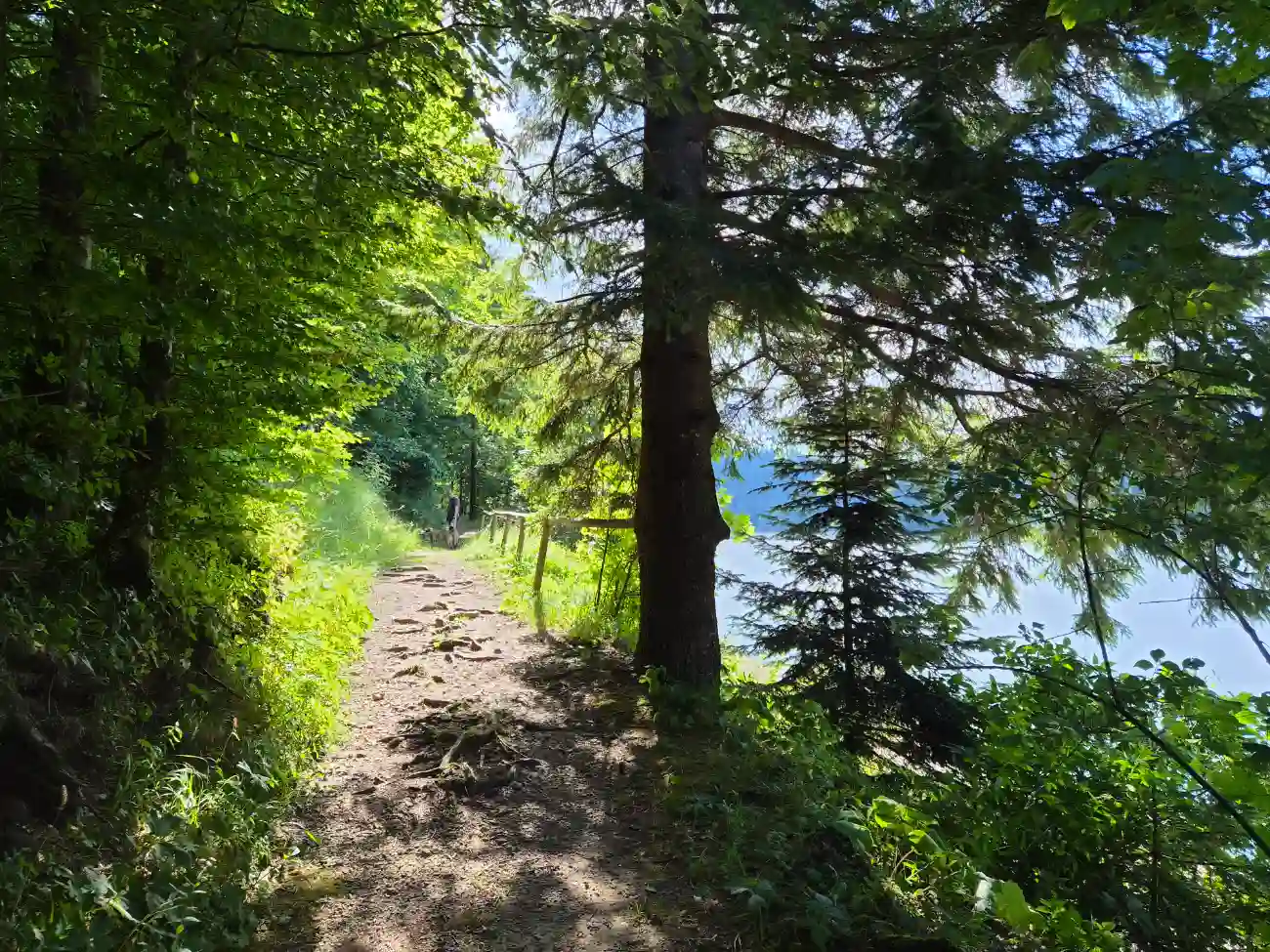 šetnica na Lokvarskom jezeru