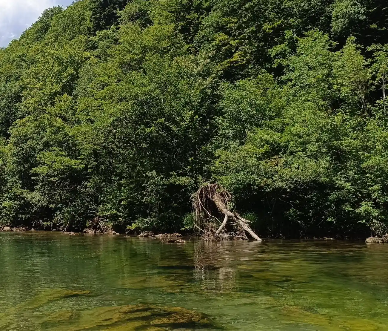 Kupalište Pritiske pored Broda na Kupi