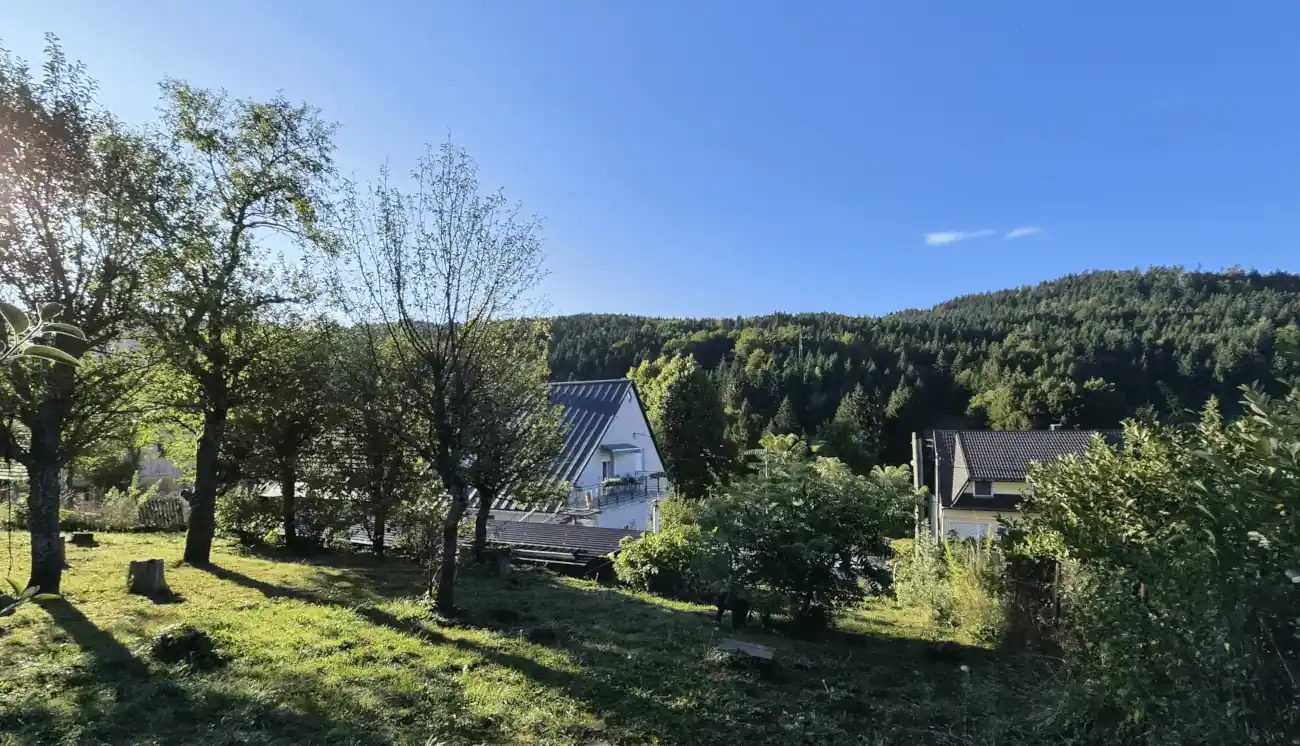 Kuća u Gorskom kotaru - idila ili robija na kosilici i frezi?