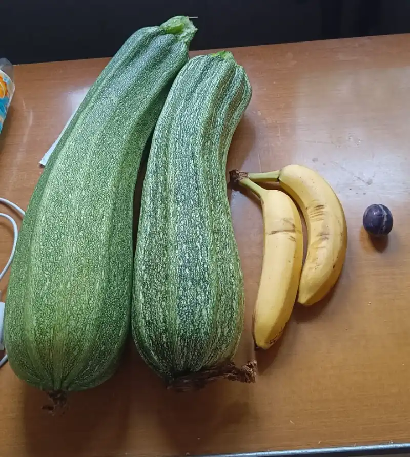 Usporedba tikvice sa bananom