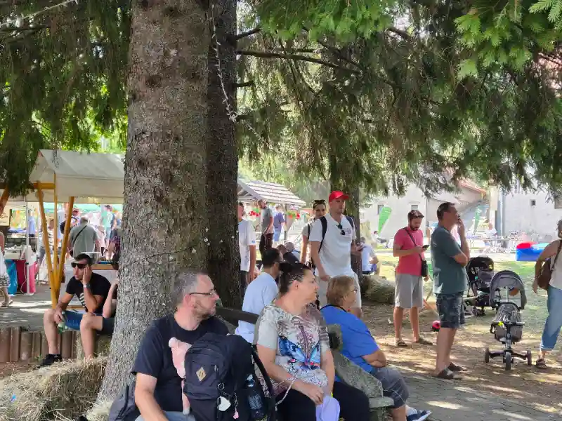 Medun fest 2026 prostor i domaći proizvodi