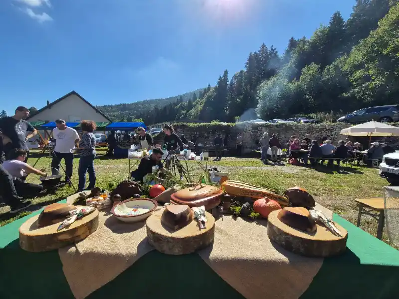 Stara Sušica Dan gljiva 2026