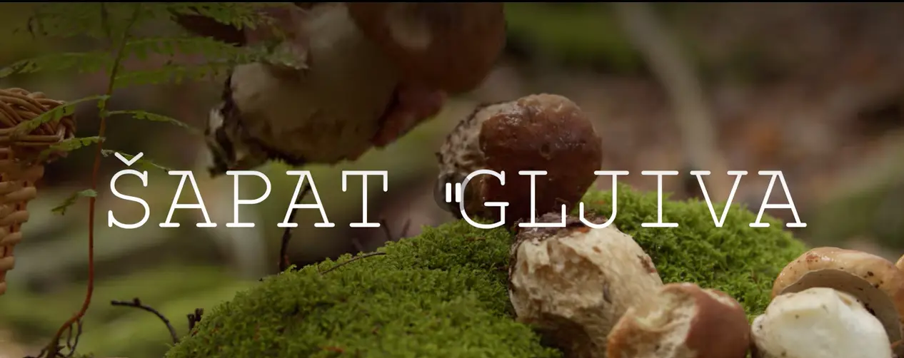 Dokumentarni film "Šapat gljiva"
