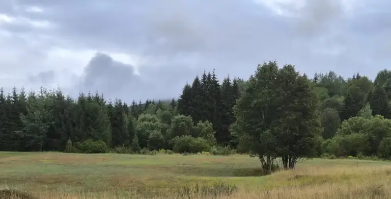 Livada i šuma Gorskog kotara