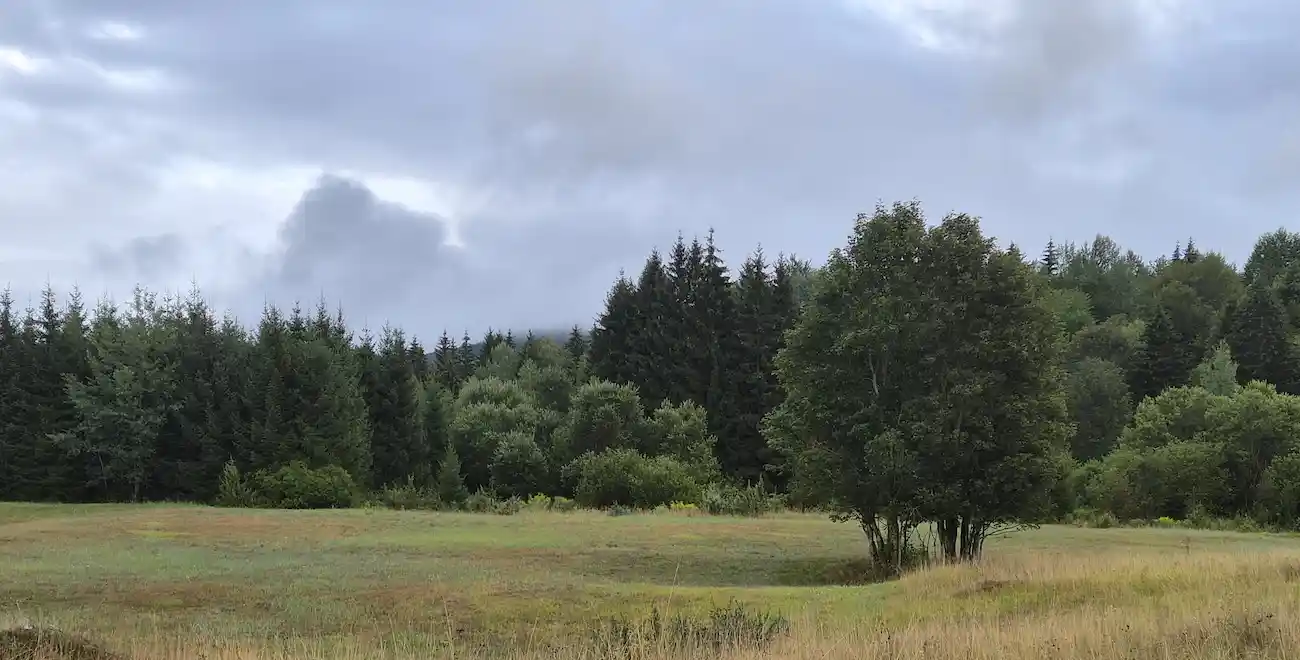 Livada i šuma Gorskog kotara