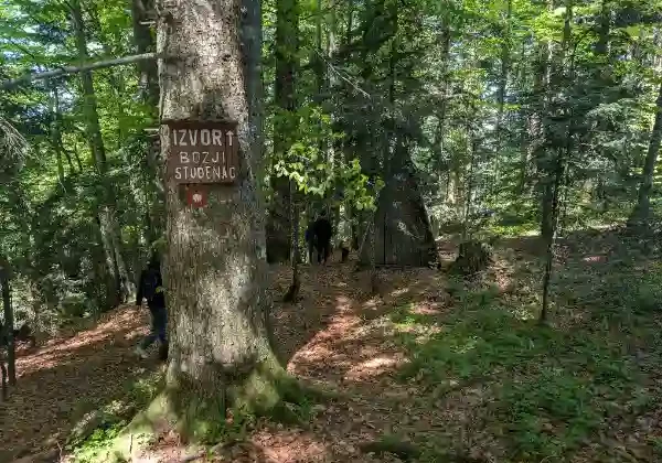 Izvor Božji studenac na Javorovoj kosi